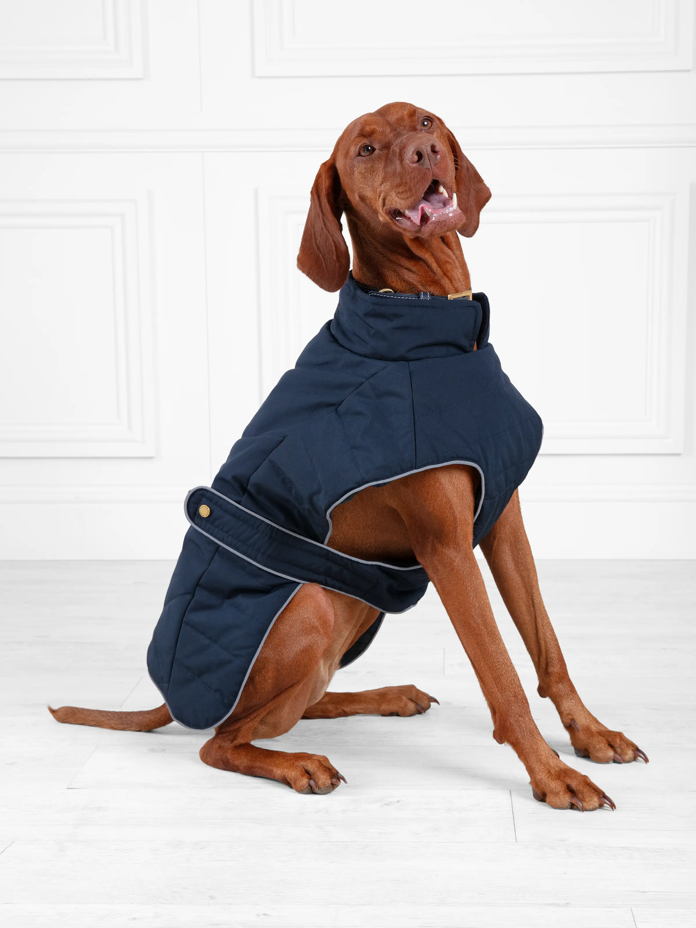 Charlotte Padded Dog Coat - Navy - Image 2